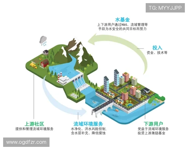 利用AG登录入口实现账号安全加密与登录保护的实用技巧分析