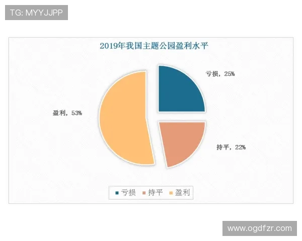 多宝视讯的公司地址及其在行业中的地位和影响力分析