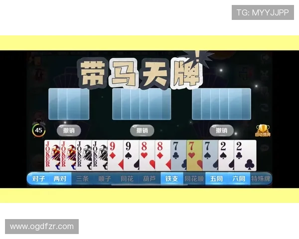 十三水官网最新版本上线，全面优化游戏体验与玩法介绍