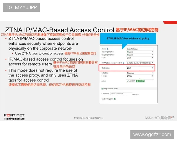 如何正确访问PA真人官方网址，确保账号安全与游戏体验无忧环保指南